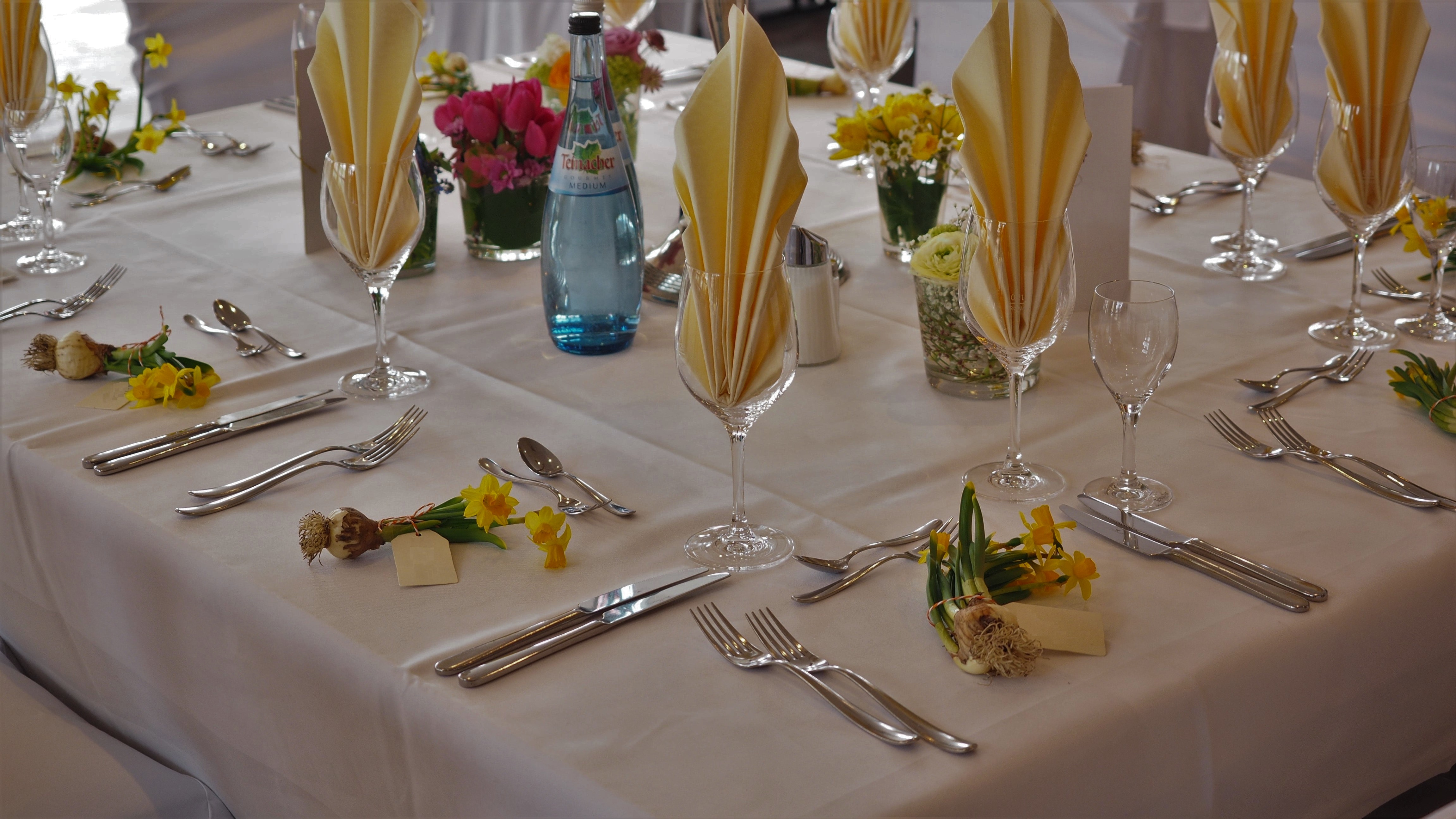 dinner party at shebstan restaurant at al sayedah zeinab hotel damascus syria