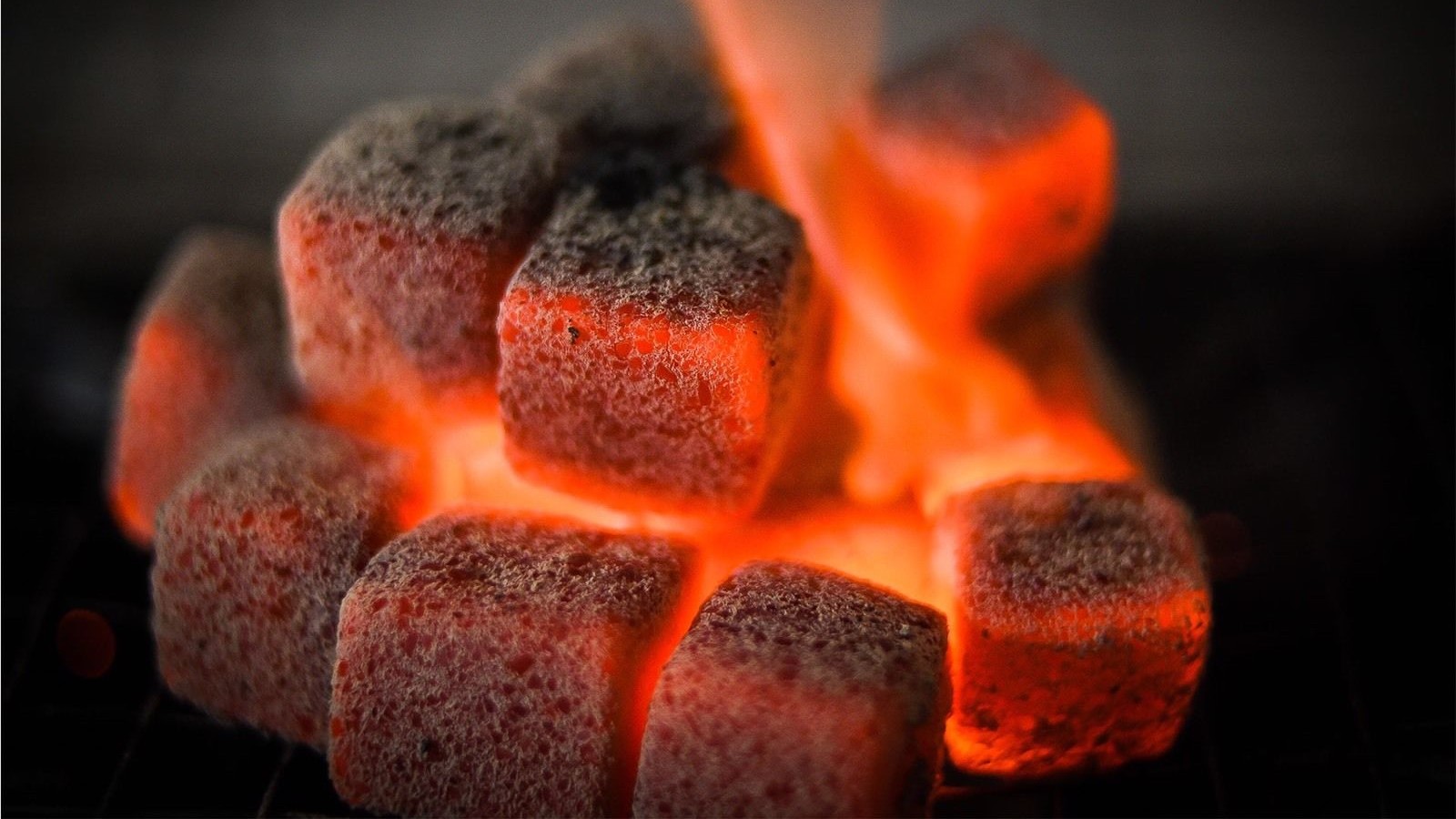 shisha coal at fresh delights at al sayedah zeinab hotel damascus syria