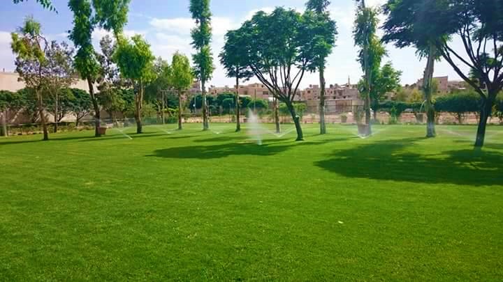 fresh delights at al sayedah zeinab hotel damascus syria